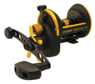 Penn 560L Slammer Liveliner Spinning Fishing Reel Price in India