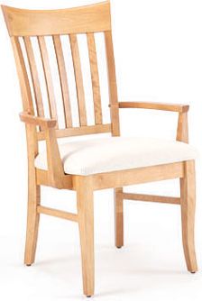 Upholstered Arm Chair