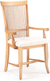 Upholstered Arm Chair