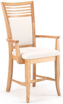 Upholstered Arm Chair