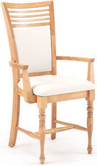 Upholstered Arm Chair