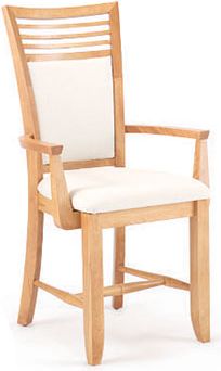Upholstered Arm Chair