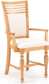 Upholstered Arm Chair