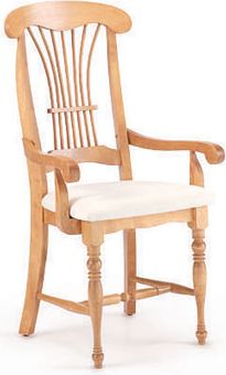 Upholstered Arm Chair