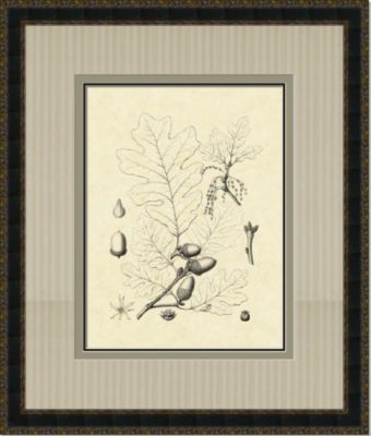 Antique Oak Leaves II