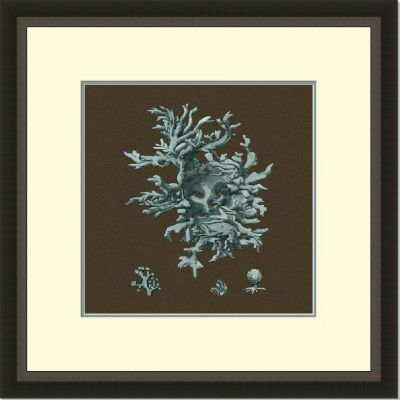 Teal Coral on Expresso III