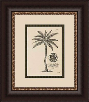 Coconut Palm - Sepia