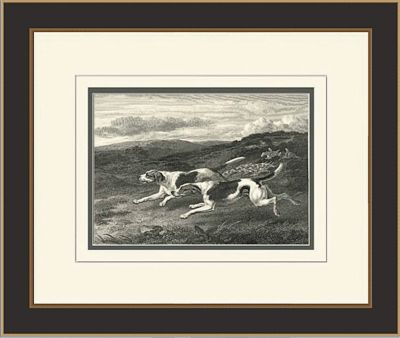 Scott Staghound and Foxhounds
