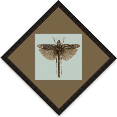 Dragonfly #22