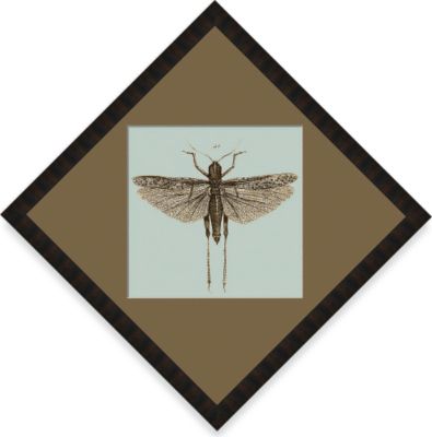 Dragonfly #18