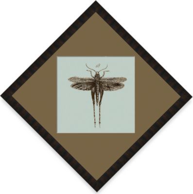 Dragonfly #21