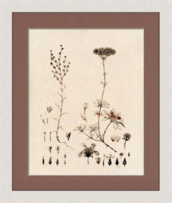 Sepia Line Plants I