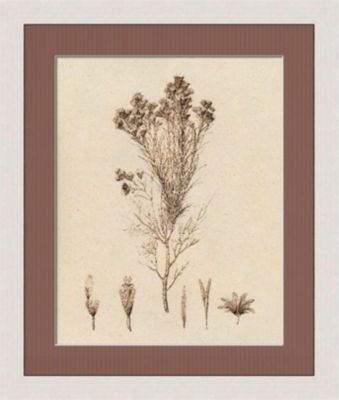 Sepia Line Plants II