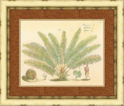 Exotic Palm I