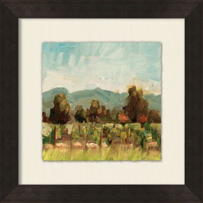 Small Vineyard View 1