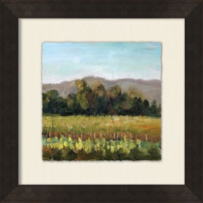 Small Vineyard View 2