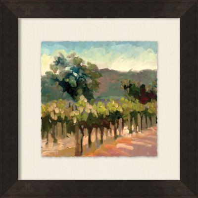 Small Vineyard View 3