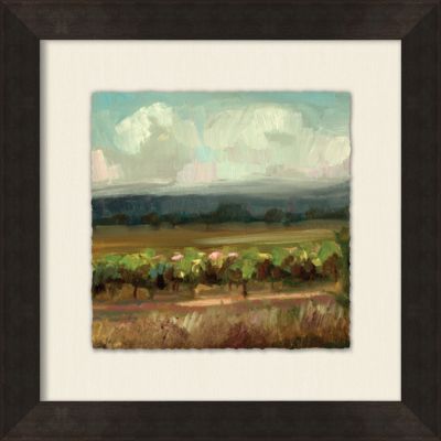 Small Vineyard View 4