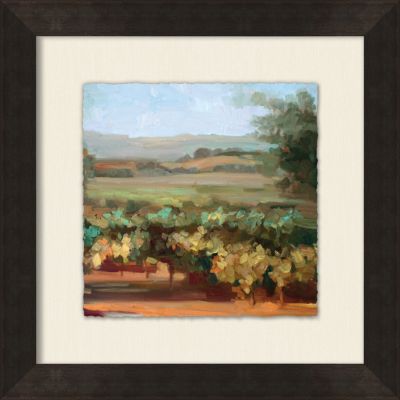 Small Vineyard View 5