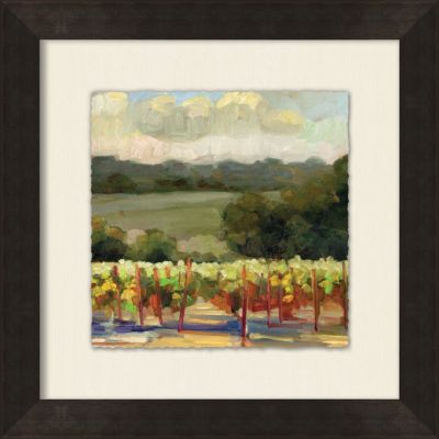 Small Vineyard View 6