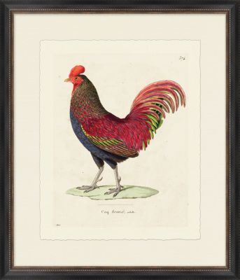 Rooster I