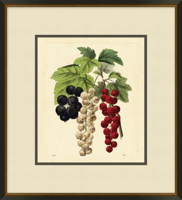 Vivid Berries