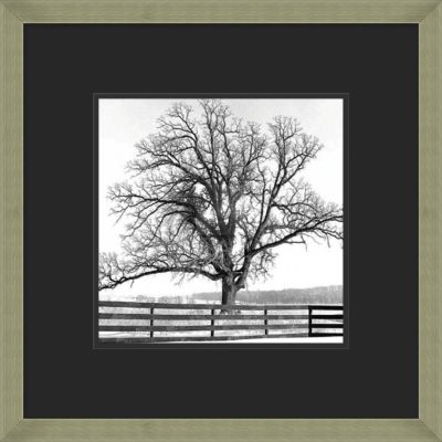 Arbre D'hiver I