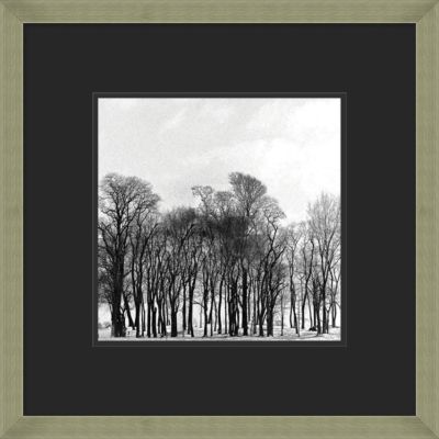 Arbre D'hiver III
