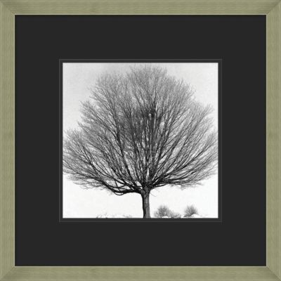 Arbre D'hiver IV