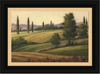 Traditional Tuscan Landscape II