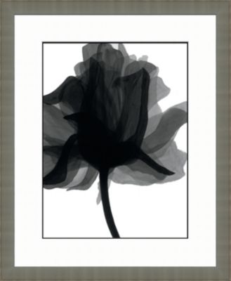 Black and White Watercolor Flowers A