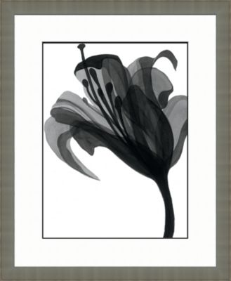 Black and White Watercolor Flowers B