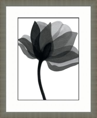 Black and White Watercolor Flowers C