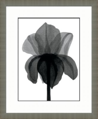 Black and White Watercolor Flowers D