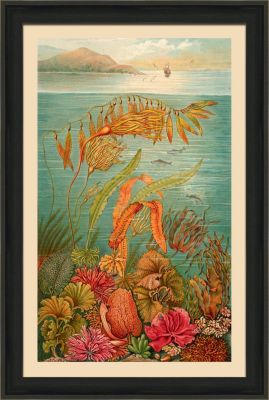 Small Under Sea Worlds C