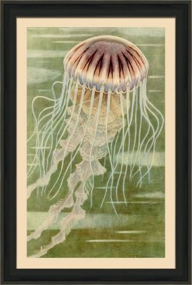 Small Under Sea Worlds D