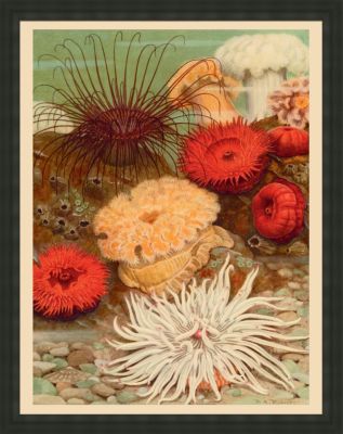 Oversized Under Sea Worlds A
