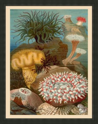 Oversized Under Sea Worlds B