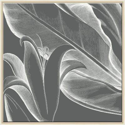 Malaberica Flora in Grey A