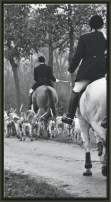 A Modern Day Fox Hunt Triptych B