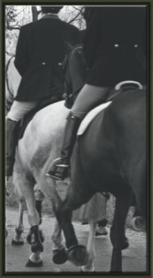 A Modern Day Fox Hunt Triptych C