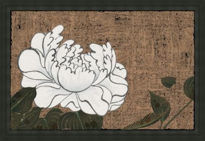 White Asian Chrysanthemums A