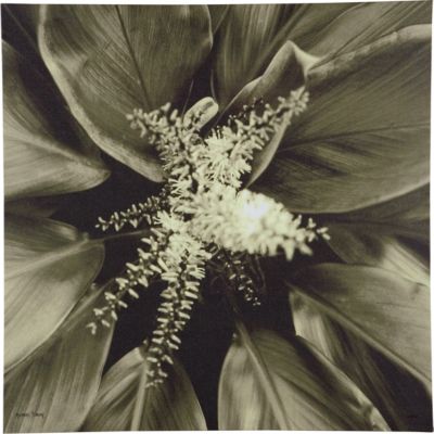 Pollinator (in green)