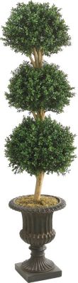 Triple Ball Boxwood Topiary in Urn