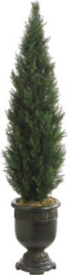 Cedar Topiary in Urn