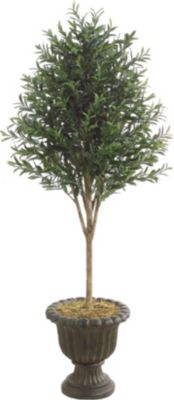 Accessories - Olive Tree in Urn