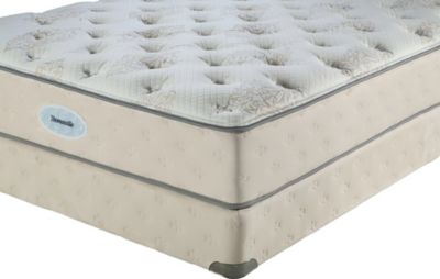 Platinum Plush Firm