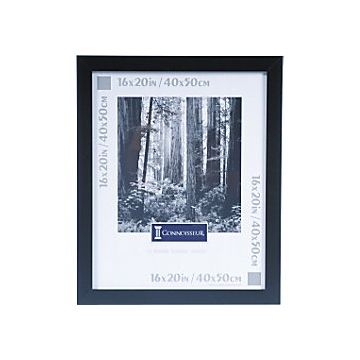 Staples Advantage Black Poster Frame w/ Matting & Plexiglas