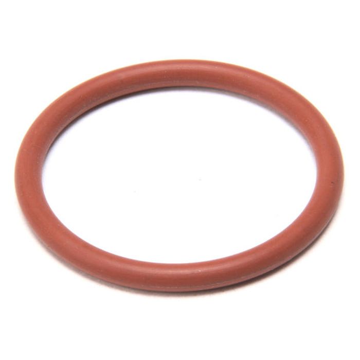 Check Valve O-Ring