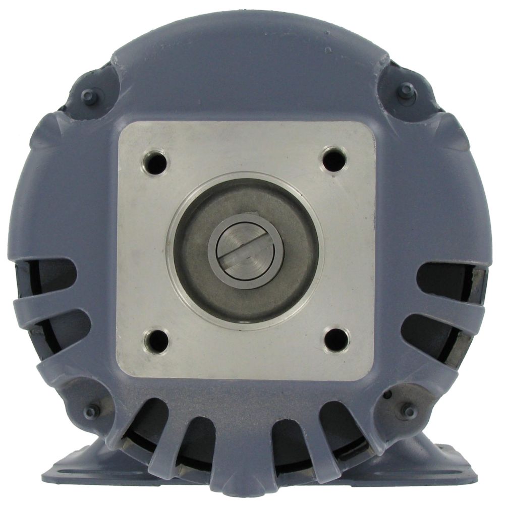 Pump Motor, 4 Bolt Replacement, 115 V